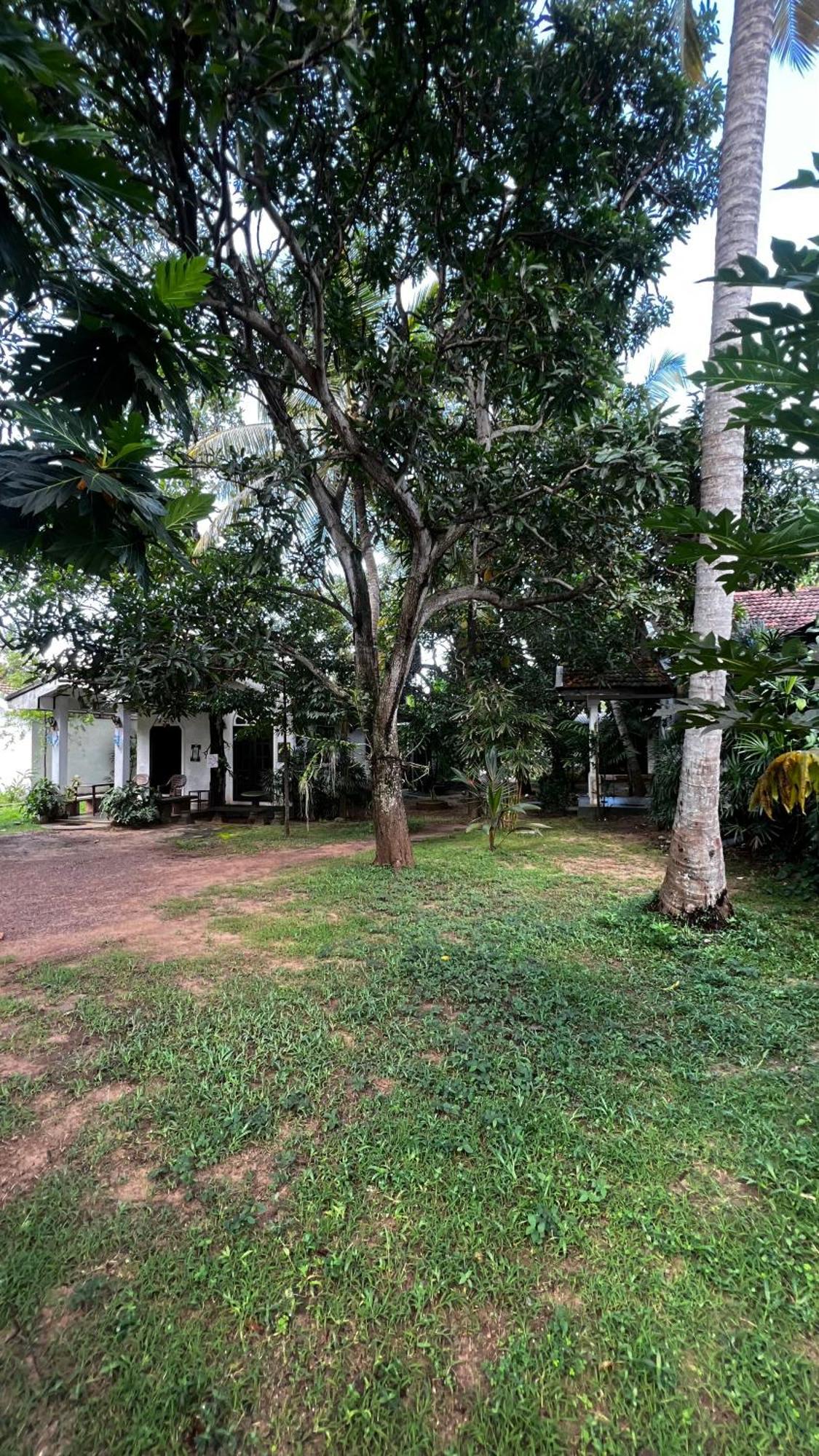 Sylvester Villa Hostel Negombo Exterior foto